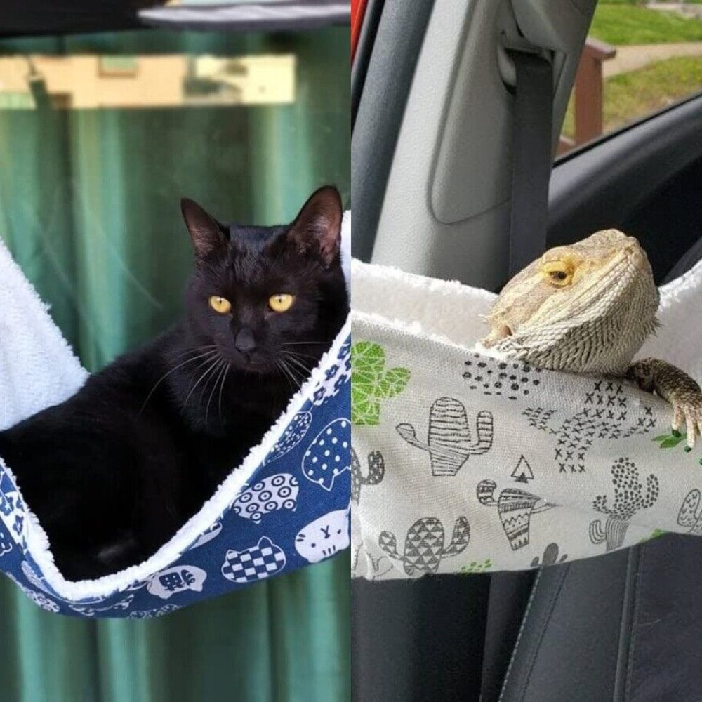 Lot of 9 Cat Hammocks XL Small Pets Cage Lounge Lizards Bearded Dragon B…